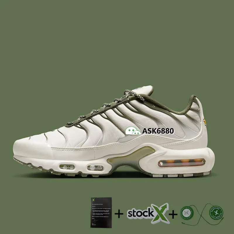 TN BARCELONA (1:1) thumbnail 2